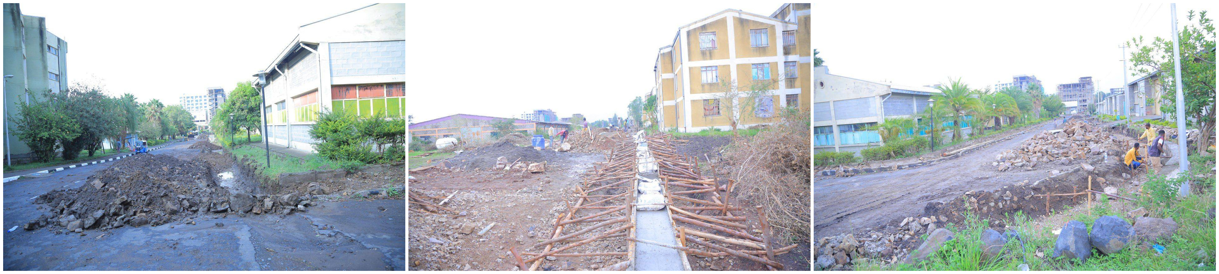 ኮሌጁ ዘርፈ ብዙ የኮሪዶር ልማት ተግባራርትን እያከናወነ ነው::